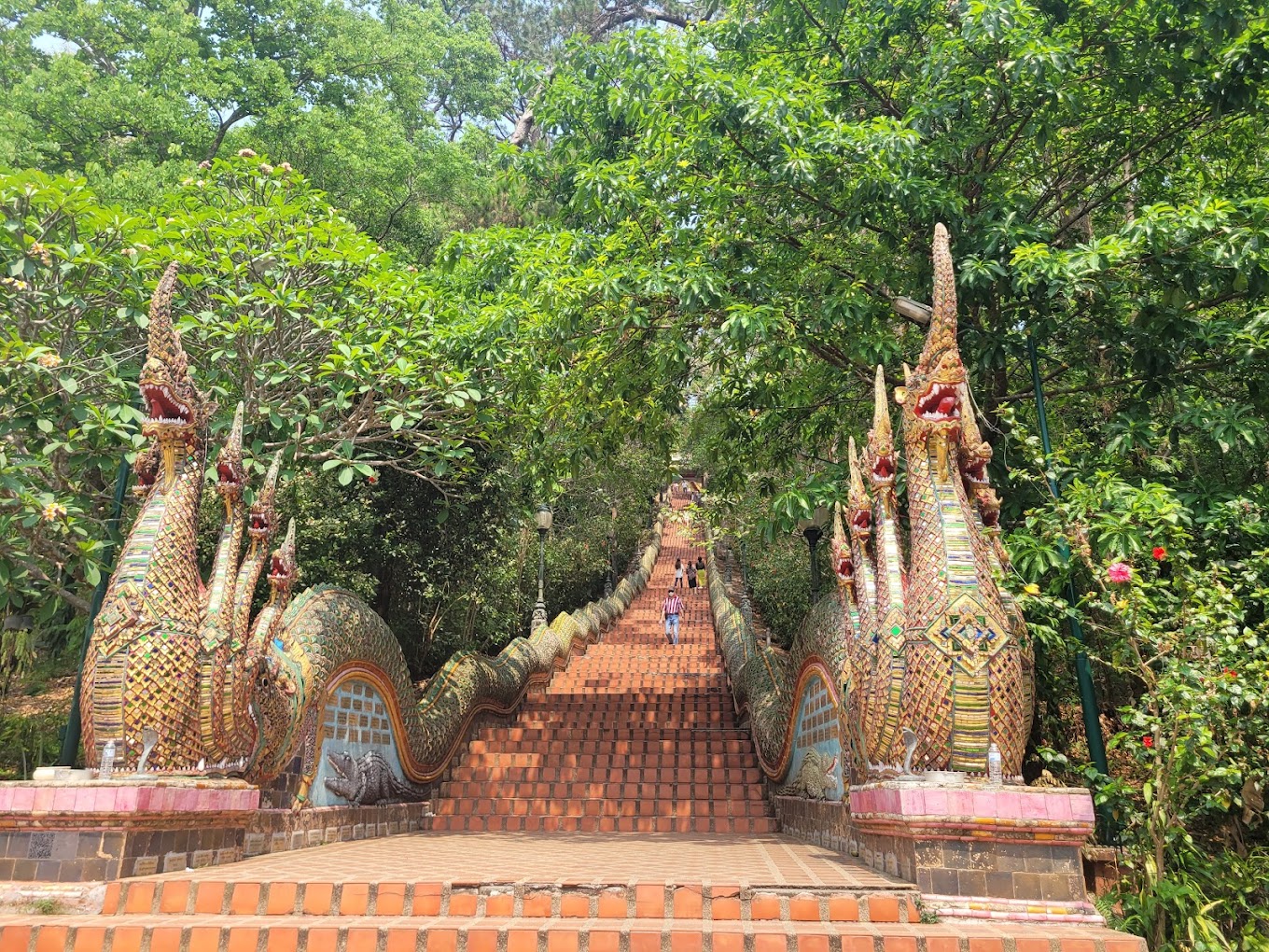 Chiang Mai and Northern Thailand Cycling Tour 9 Days